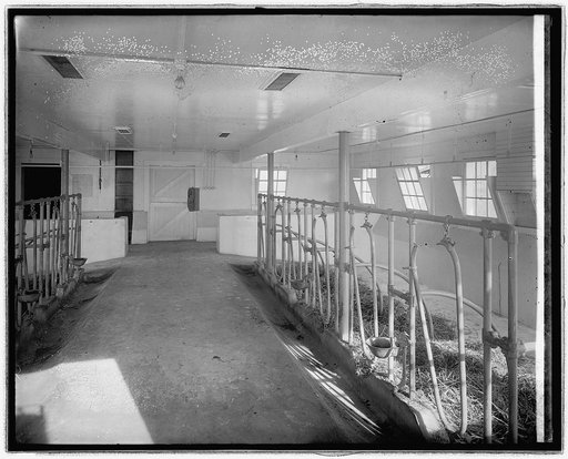 Chestnut Farms Dairy, [Washington, D.C.