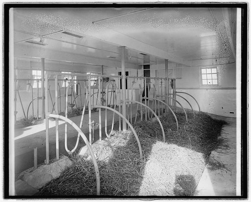 Chestnut Farms Dairy, [Washington, D.C.