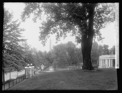 Monument from White House, [Washington, D.C.