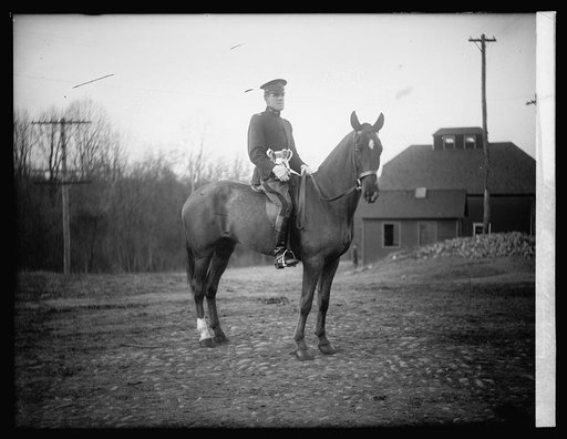 Capt. Wm. H. Sheperd, 8th Field Artillery