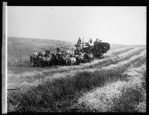 Western farming