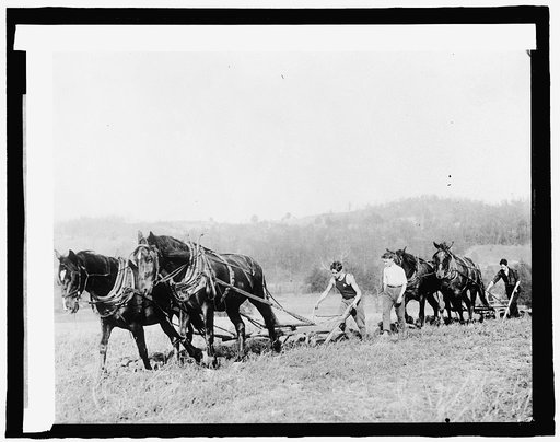 Boys working Reserve