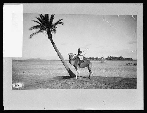 A Sahara traveler