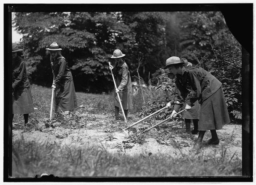 Food Administration, Girl Scout garden, 13th & Iowa Ave., Wash., D.C.