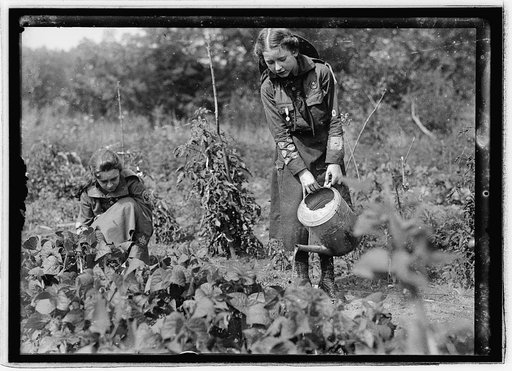 Food Admin., Girl Scout garden, 13th & Iowa Ave., Wash., D.C.