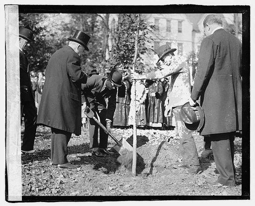 Prince of Wales planting memorial tree at cathedral school, [Washington, D.C.