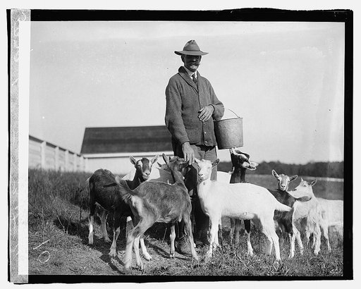 Govt. Farm, Beltsville, [Maryland