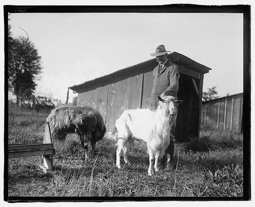 Govt. Farm, Beltsville, Maryland