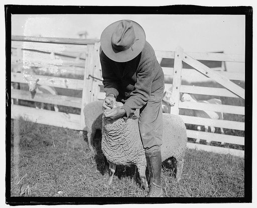Govt. Farm, Beltsville, [Maryland