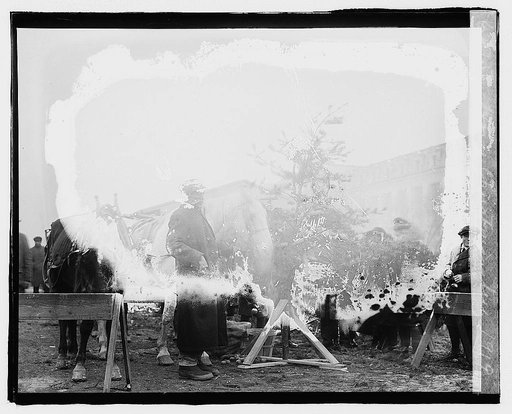 Horse Christmas Tree, 1919