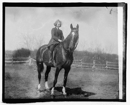 Emily Frelinghuysen on Hal