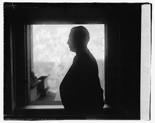 Bainbridge Colby, silhouette