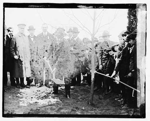 Arbor day, 1920 [...