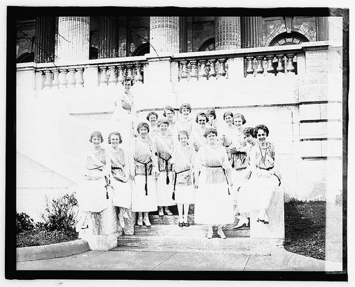 D.A.R. pages, 1920