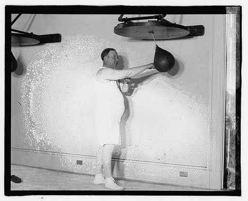 Rep. Fred Purnell punching bag