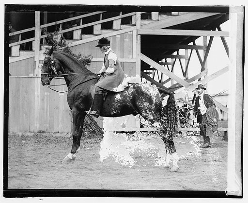 Martha Ellis on Beaucaire