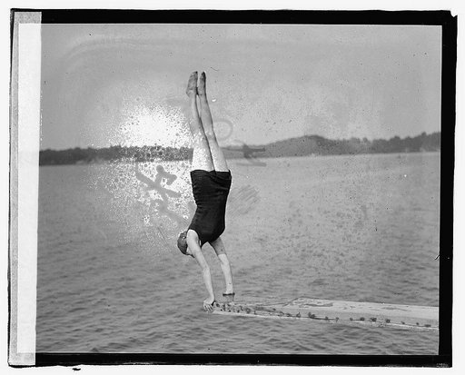 Sherwood Farms [i.e., Forest], diving