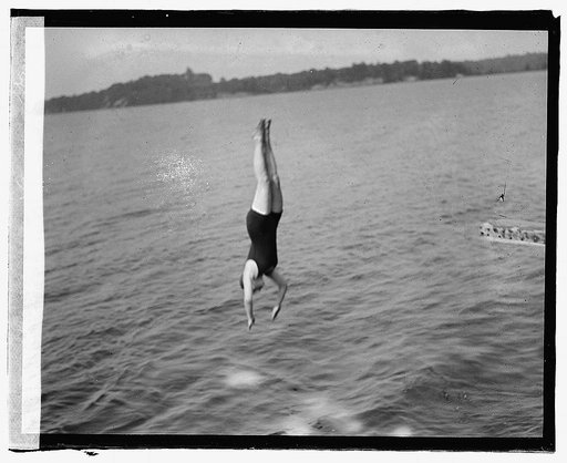 Sherwood Farms [i.e., Forest], diving