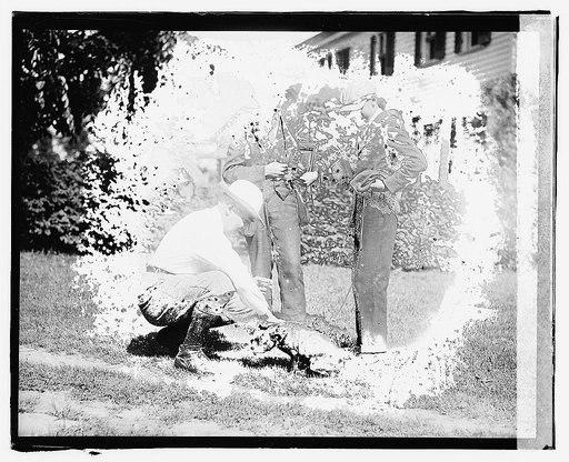 Warren G. Harding