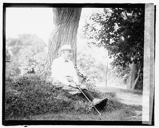 Warren G. Harding