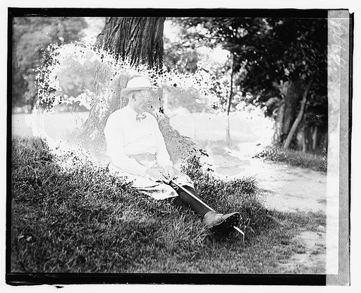 Warren G. Harding