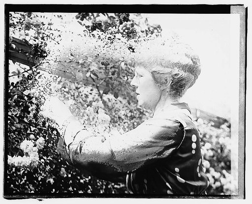 Mrs. Warren G. Harding