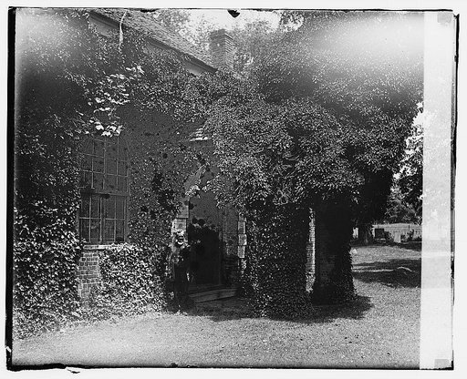 Man standing by the doorway of an old vine-covered building