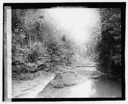 Bull Run Creek, Bull Run