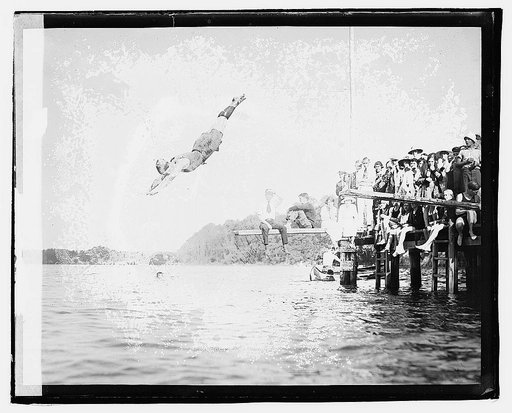 Sherwood Forest, diving