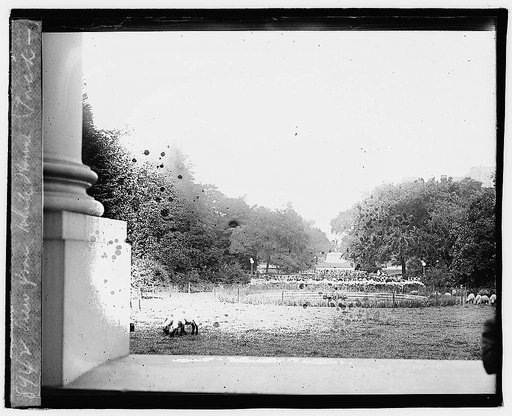 View from White House porch