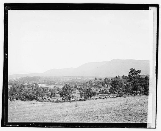 Herald Tours, Luray, VA