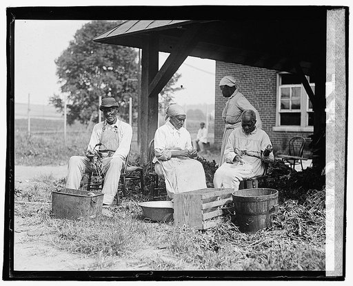 Slave story