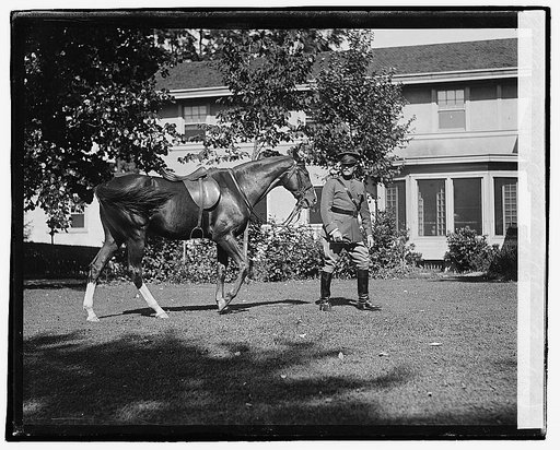 General Pershing (horse Quidron[?])