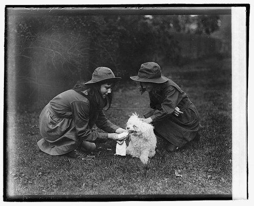 Girl Scouts