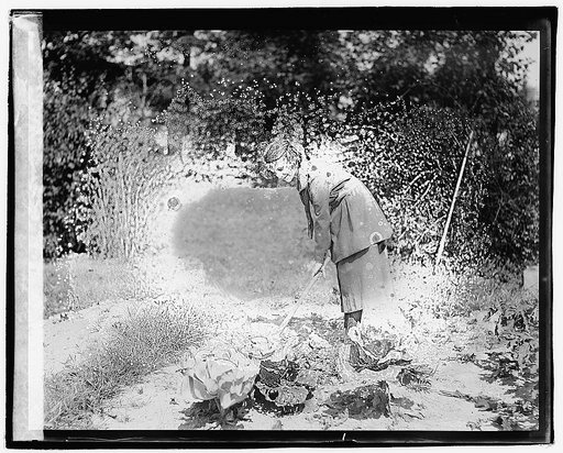 Betty Baker