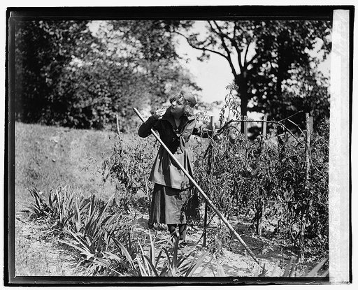 Betty Baker