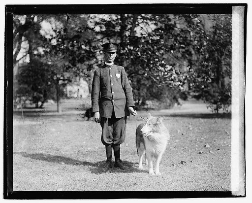 Policeman standing in a park holding a dog by the leash