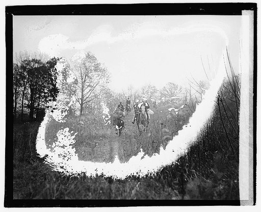 Fox hunt, 12/4/20
