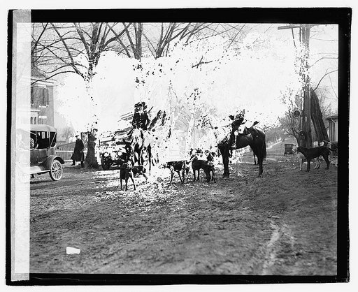 Upperville fox hunt