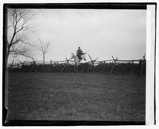 Upperville fox hunt