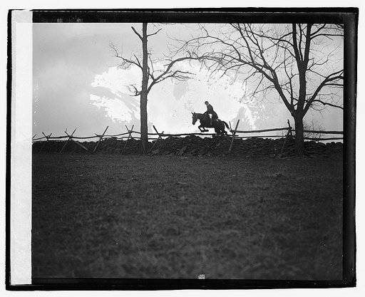 Upperville fox hunt