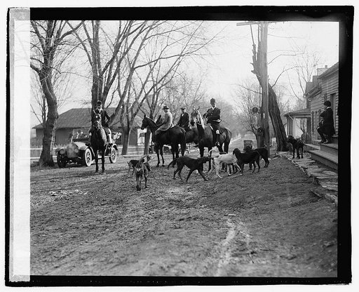 Piedmont Hounds, Upperville, VA, 1/3/21