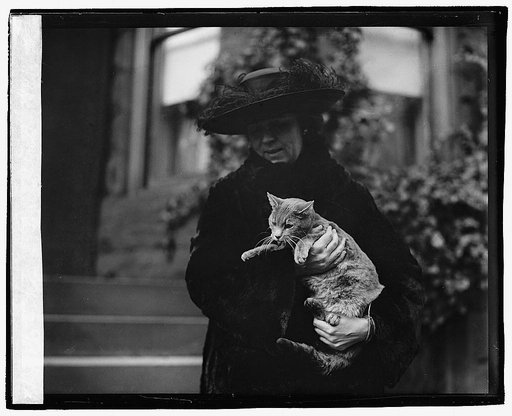 Chas. L. Fraily cat, 1/11/21