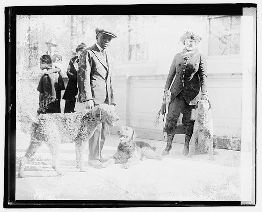 Unidentified man, woman, and three dogs on city sidewalk], 3/11/21