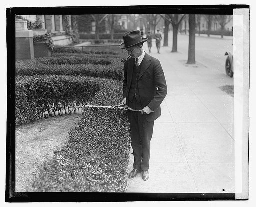Hedge trimmer