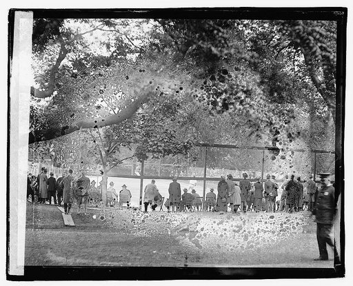 Rear view of people watching tennis match,] 5/6/21