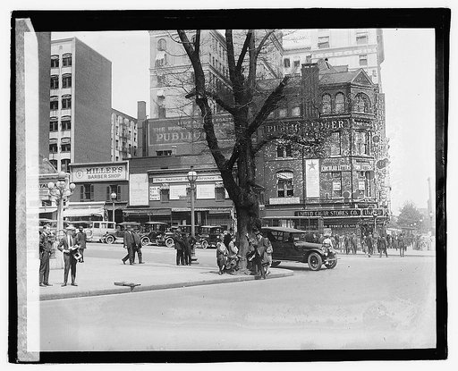 Morse Elm, 5/13/21