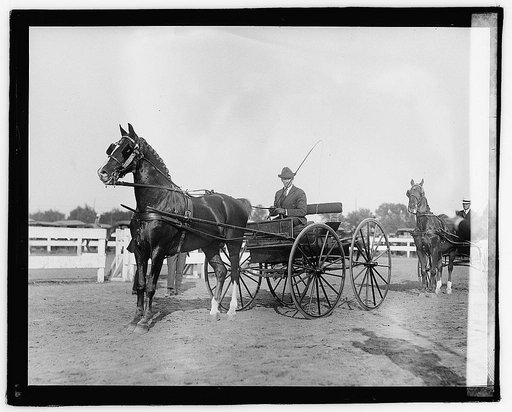Horse show, 1921