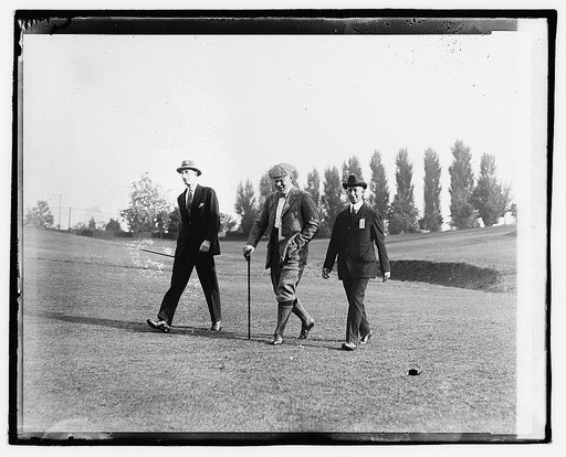 Geddes, Graves, and [...] Leech