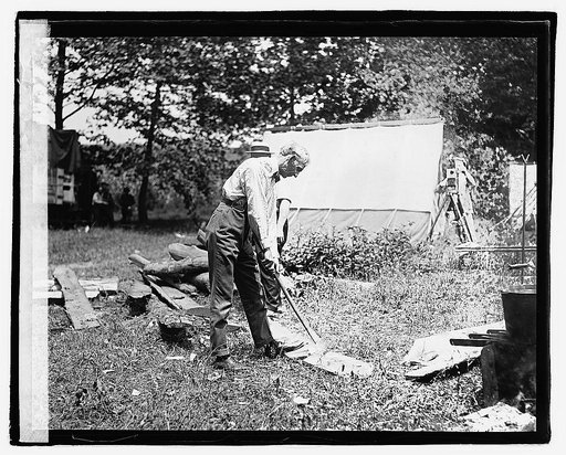 Henry Ford chopping wood